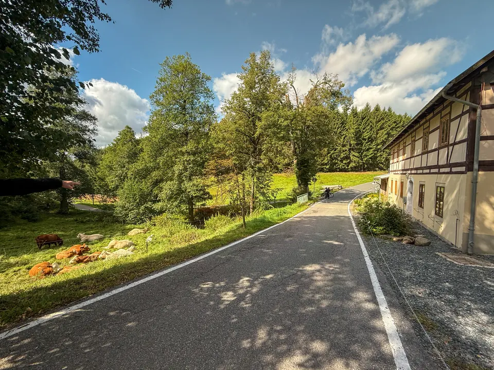 Die ruhige Dorfstraße mit dem Fachwerk-Hauptgebäude der Gnauckmühle im Sonnenlicht
