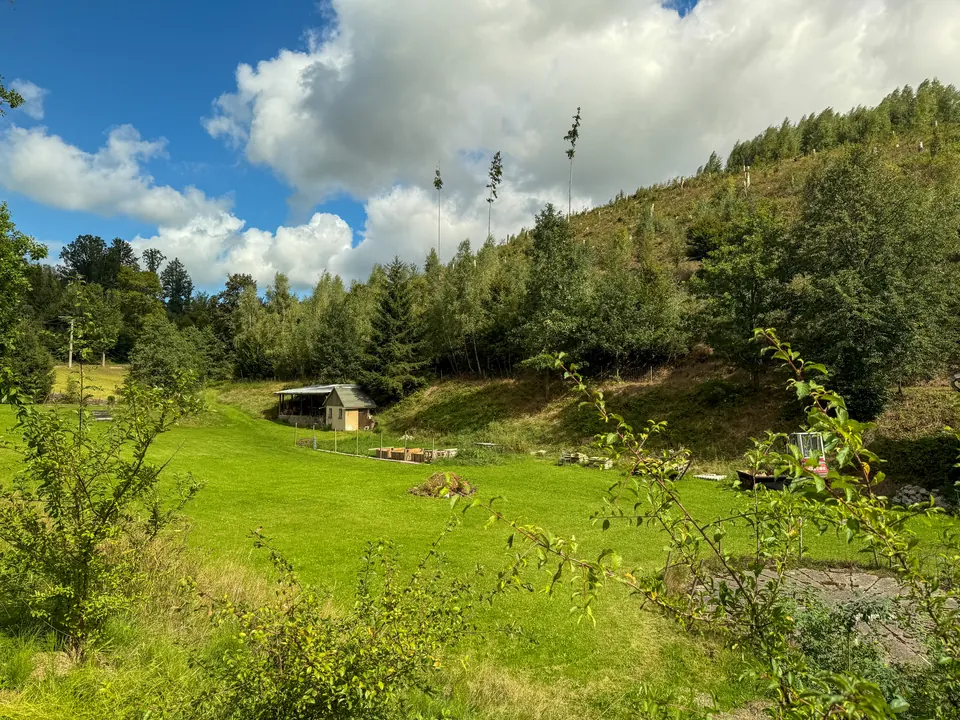 Die große Wiese der Gnauckmühle am Waldrand unter Sommerwolken