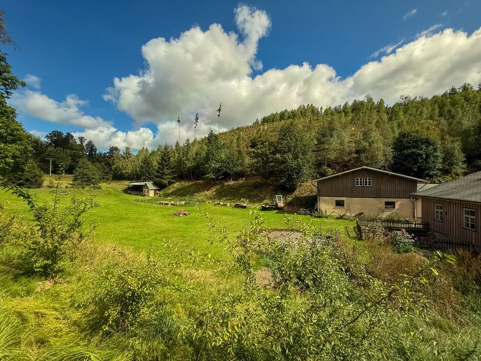 Blick über die Wiese zu den Gebäuden am Waldrand